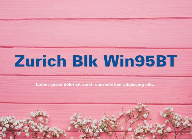 Zurich Blk Win95BT example